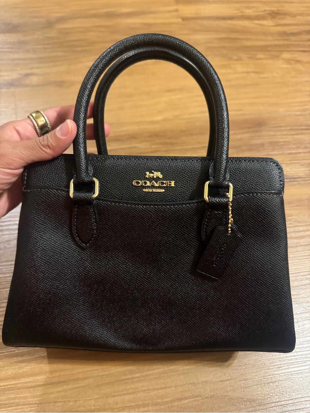 Coach Mini Darcie Carryall